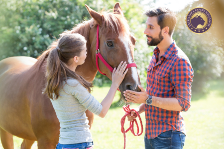 https://www.soulsense.ch/ausbildung/natur-tiere/tiergestuetztes-coaching/ Ausbildung tiergestütztes Coaching