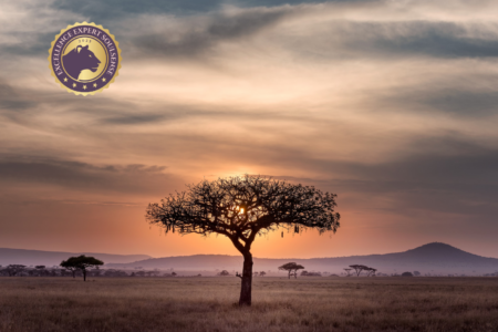 Retreat Lionheart Soulsense