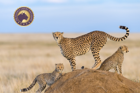 Grundlagen spirituell-psychologische BegleitungCoaching (120 x 88 mm) (75)