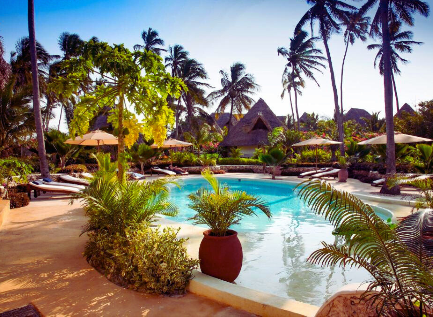 Coaching Psychologie - 2025-10-29T070552.410