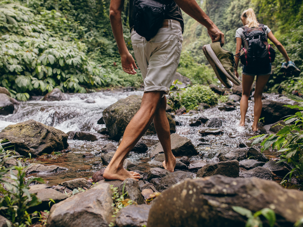 shutterstock_464521754