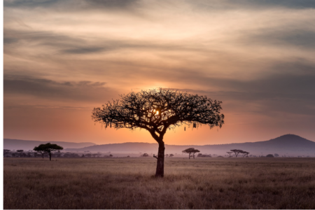 Kopie von Coaching Psychologie (11) - Kopie