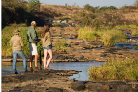 Kopie von Coaching Psychologie (13) - Kopie