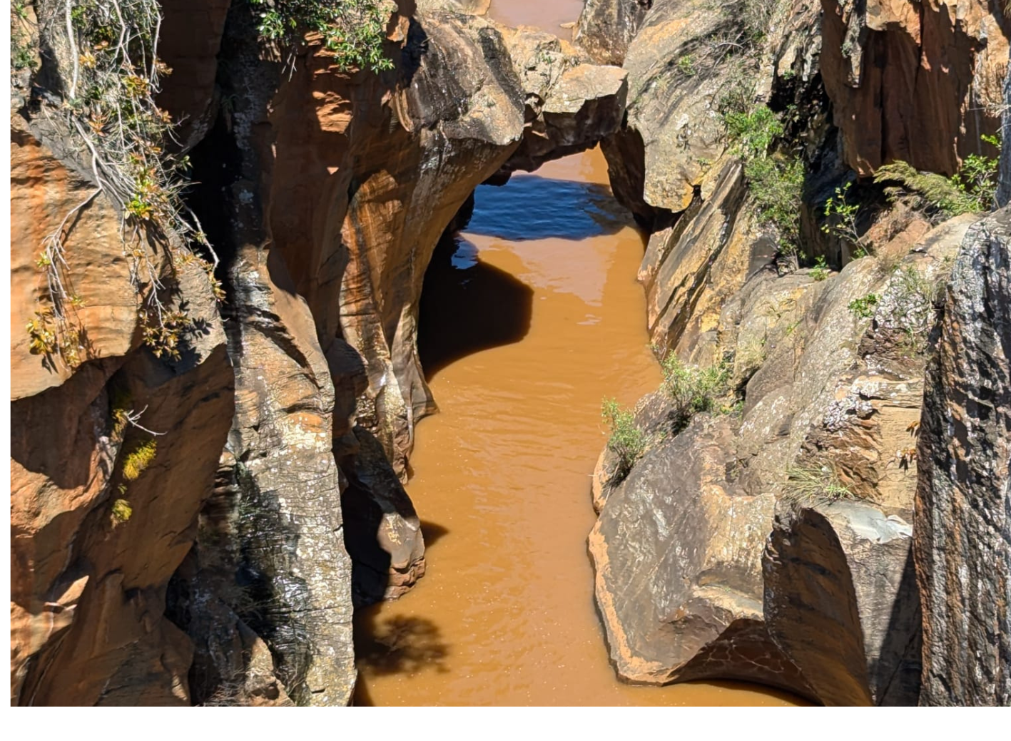 Kopie von Coaching Psychologie (16) - Kopie