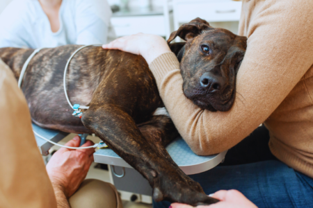 Kopie von Kopie von Coaching Psychologie (30)