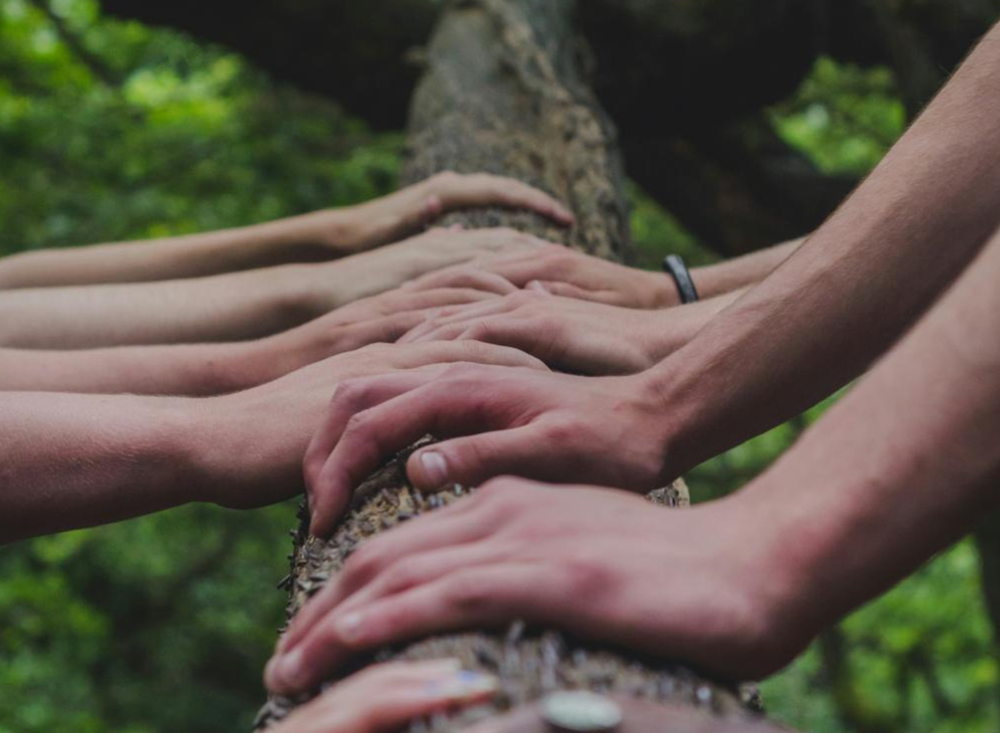 Kopie von Kopie von Coaching Psychologie (52)