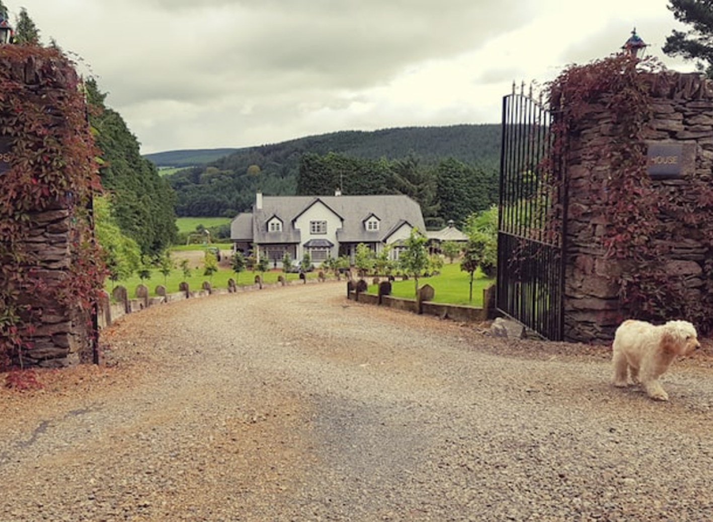 Location Irland (5)